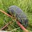 mayrath-truck-auger-image-13