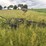 5-bottom-14”-pull-type-plow-image-7