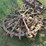 (2)-oliver-skeleton-steel-wheels-image-2