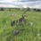 john-deere-2-image-2