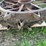 (2)-allis-chalmers-wc-steel-wheels-image-6