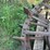(2)-oliver-skeleton-steel-wheels-image-5