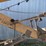minneapolis-moline-1200-corn-sheller-image-84