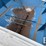 kinze-600-image-24
