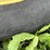 john-deere-6600-image-15