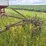 2-bottom-14”-plow-image-1