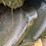 (2)-13.6-38-b.f.-goodrich-tires-image-12