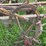 moline-5-bottom-14”-pull-type-plow-image-27