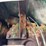 john-deere-luc-image-12