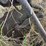 1-bottom-14”-plow-image-11