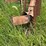 massey-harris-clipper-combine-image-20