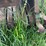 john-deere-side-chute-baler-image-14