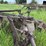 3-bottom-25”-terracing-plow-image-31