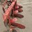massey-ferguson-4-image-6