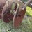 john-deere-disk-plow-image-39
