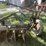 john-deere-disk-plow-image-38