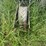 john-deere-1240-image-34