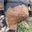 john-deere-semi-mounted-sickle-mower-image-22