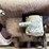 3-5-hp-international-harvester-la-engine-image-6