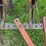 ji-case-5-bottom-14"-pull-type-plow-image-11