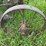 2-bottom-14”-pull-type-plow-image-23