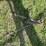 john-deere-disk-plow-image-50