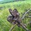 massey-ferguson-14-image-11