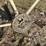 john-deere-bike-image-6