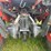 2015-kubota-mx5200f-image-18