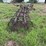 15’-rotary-hoe-image-4