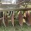 john-deere-disk-plow-image-19
