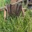 john-deere-side-chute-baler-image-17
