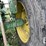 john-deere-3020-image-18