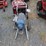 paint-sprayer-image-3