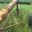 maytath-truck-auger-image-13