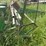 john-deere-1240-image-38