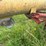 westfield-truck-auger-image-11