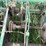 john-deere-1240-image-17