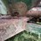 artsway-325a-image-8