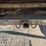 1999-ford-f550-xl-sd-image-21