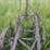 massey-ferguson-14-image-22