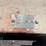 new-idea-121-image-4