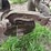 john-deere-14-image-11