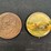 (2)-centennial-of-the-reaper-coin-+-deering-harvester-button-image-1