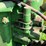 john-deere-g-image-35