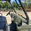 polaris-ranger-800-image-20