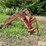 large-square-bale-stacker-image-8