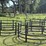 #1027-•-(3)-lick-tubs,-6-hay-rings,-and-6-extra-rings-image-2