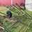 #7455-•-hay-rake-image-25