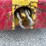 #1367-•-allis-chalmers-pneumatic-3000-lb.-capacity-forklift-(o3)-image-4